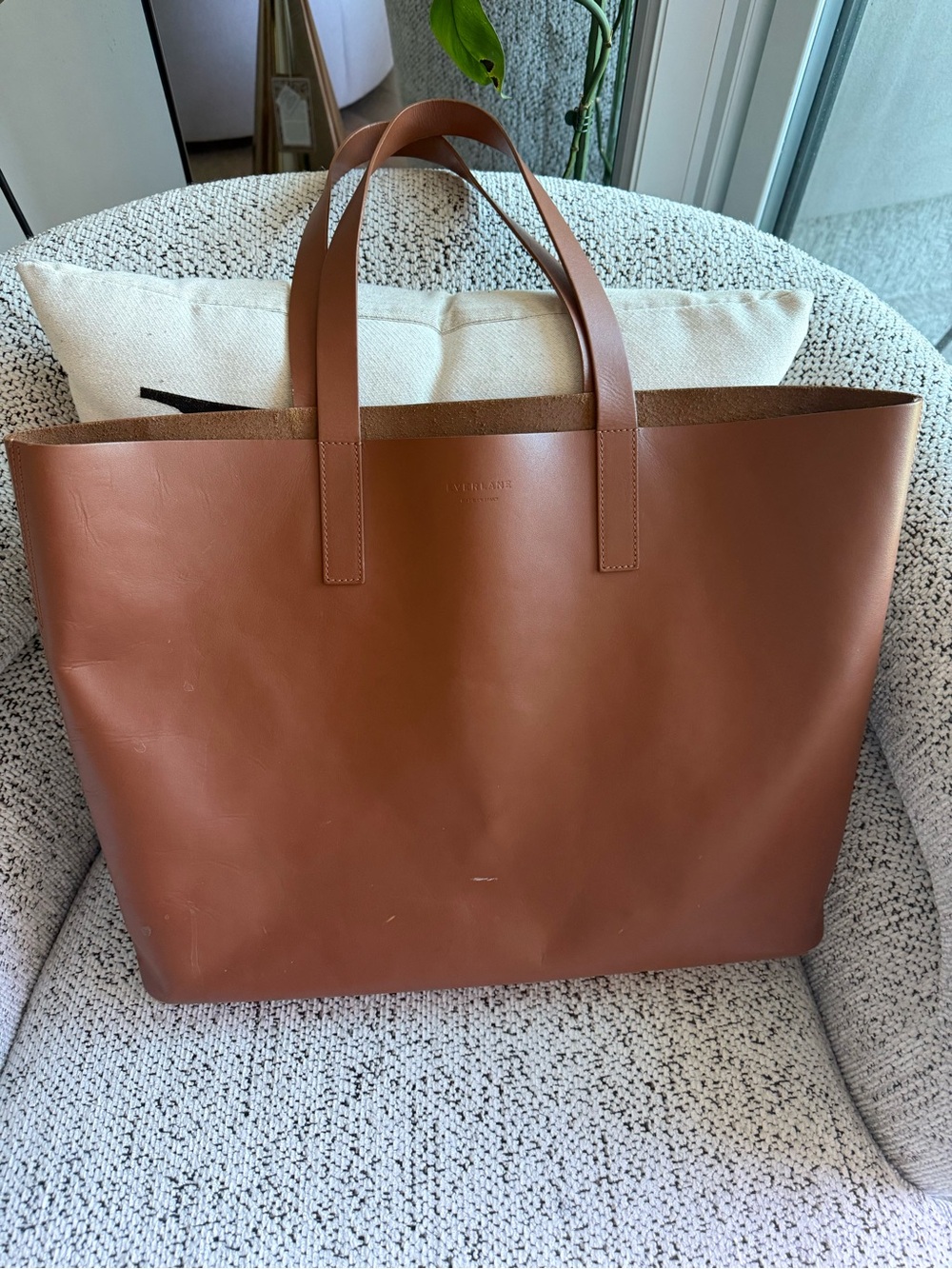 Everlane Brown Leather Tote Messenger Bag